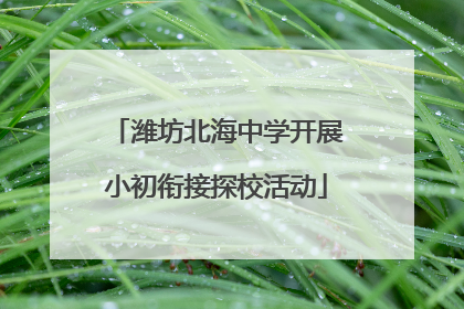 潍坊北海中学开展小初衔接探校活动