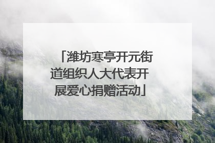 潍坊寒亭开元街道组织人大代表开展爱心捐赠活动