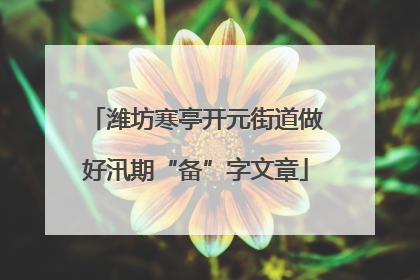 潍坊寒亭开元街道做好汛期“备”字文章