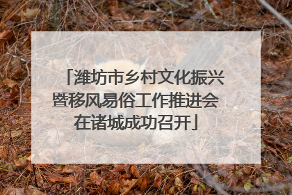 潍坊市乡村文化振兴暨移风易俗工作推进会在诸城成功召开