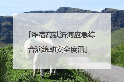 潍宿高铁沂河应急综合演练助安全度汛