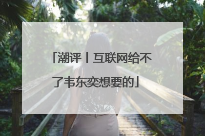 潮评丨互联网给不了韦东奕想要的
