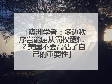 澳洲学者：多边秩序岂能屈从霸权逻辑？美国不要高估了自己的重要性