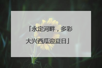 永定河畔，多彩大兴西瓜迎夏日