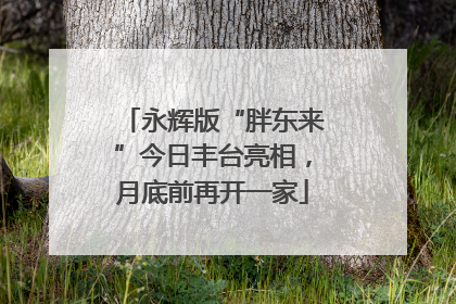 永辉版“胖东来”今日丰台亮相，月底前再开一家