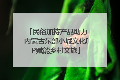民俗加持产品助力 内蒙古东部小城文化IP赋能乡村文旅