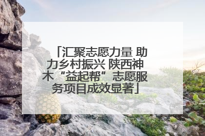 汇聚志愿力量 助力乡村振兴 陕西神木“益起帮”志愿服务项目成效显著