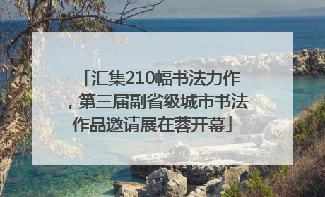 汇集210幅书法力作，第三届副省级城市书法作品邀请展在蓉开幕