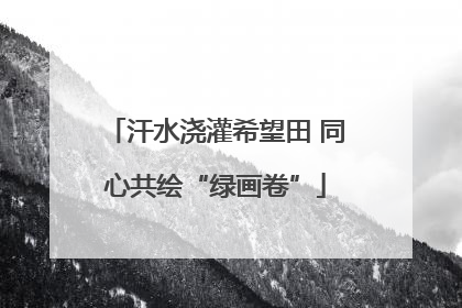汗水浇灌希望田 同心共绘“绿画卷”