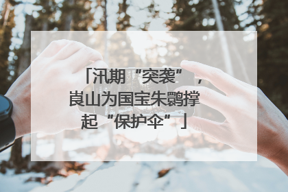 汛期“突袭”，崀山为国宝朱鹮撑起“保护伞”
