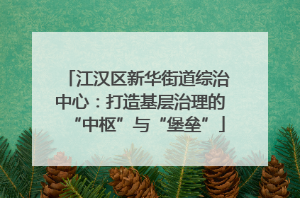 江汉区新华街道综治中心：打造基层治理的“中枢”与“堡垒”