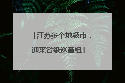 江苏多个地级市，迎来省级巡查组