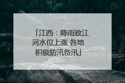 江西：降雨致江河水位上涨 各地积极防汛备汛