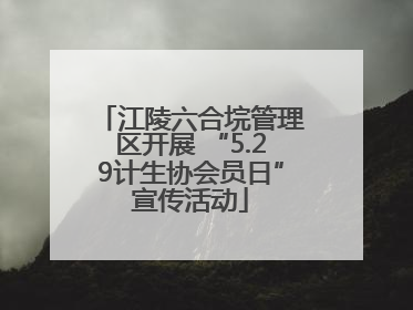 江陵六合垸管理区开展 “5.29计生协会员日”宣传活动