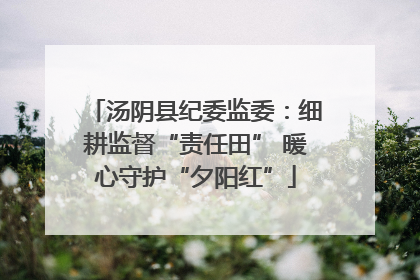 汤阴县纪委监委：细耕监督“责任田” 暖心守护“夕阳红”