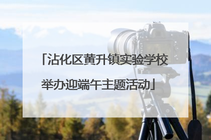 沾化区黄升镇实验学校举办迎端午主题活动