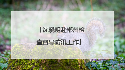 沈晓明赴郴州检查督导防汛工作