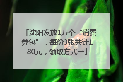 沈阳发放1万个“消费券包”，每份3张共计180元，领取方式→