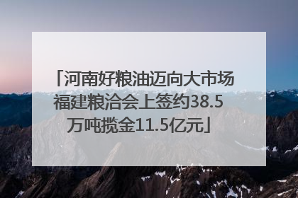 河南好粮油迈向大市场 福建粮洽会上签约38.5万吨揽金11.5亿元