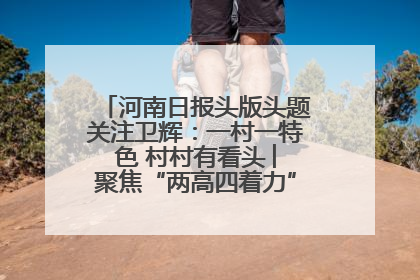 河南日报头版头题关注卫辉：一村一特色 村村有看头 ︳聚焦“两高四着力”·一“县”观察