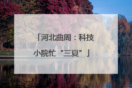 河北曲周：科技小院忙“三夏”