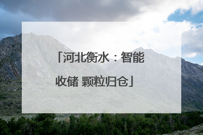 河北衡水：智能收储 颗粒归仓