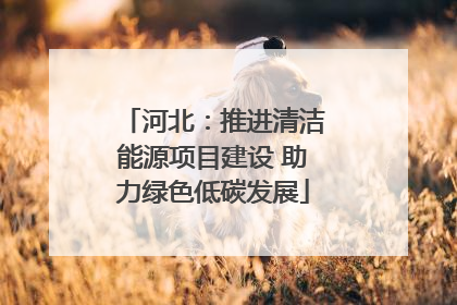 河北：推进清洁能源项目建设 助力绿色低碳发展