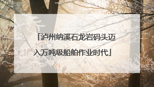 泸州纳溪石龙岩码头迈入万吨级船舶作业时代