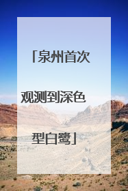 泉州首次观测到深色型白鹭