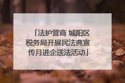 法护营商 城阳区税务局开展民法典宣传月进企送法活动