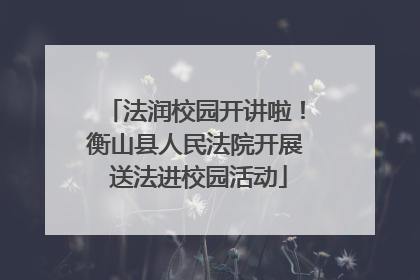 法润校园开讲啦！衡山县人民法院开展 送法进校园活动