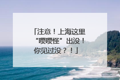 注意！上海这里“嘤嘤怪”出没！你见过没？！