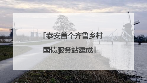 泰安首个齐鲁乡村国债服务站建成
