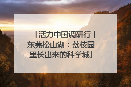 活力中国调研行丨东莞松山湖：荔枝园里长出来的科学城