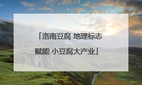 洛南豆腐 地理标志赋能 小豆腐大产业