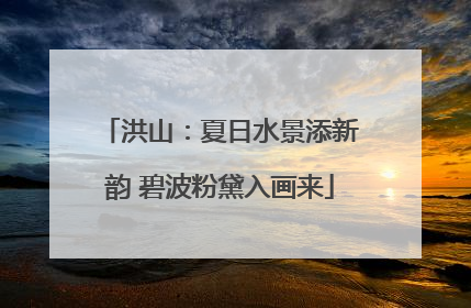 洪山：夏日水景添新韵 碧波粉黛入画来
