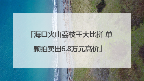 海口火山荔枝王大比拼 单颗拍卖出6.8万元高价