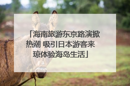 海南旅游东京路演掀热潮 吸引日本游客来琼体验海岛生活