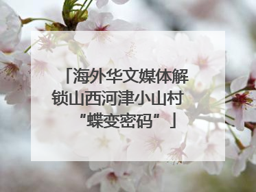 海外华文媒体解锁山西河津小山村“蝶变密码”