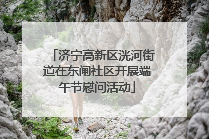 济宁高新区洸河街道在东闸社区开展端午节慰问活动
