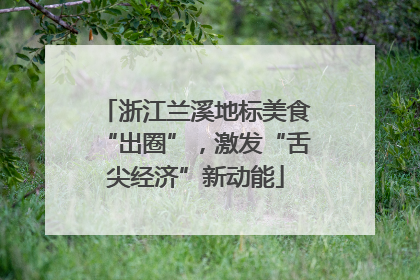 浙江兰溪地标美食“出圈”，激发“舌尖经济”新动能
