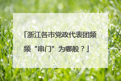 浙江各市党政代表团频频“串门”为哪般？