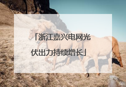浙江嘉兴电网光伏出力持续增长