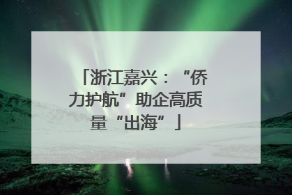 浙江嘉兴：“侨力护航”助企高质量“出海”