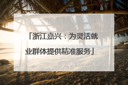 浙江嘉兴：为灵活就业群体提供精准服务