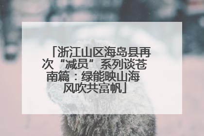 浙江山区海岛县再次“减员”系列谈苍南篇：绿能映山海 风吹共富帆