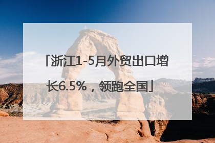 浙江1-5月外贸出口增长6.5%，领跑全国