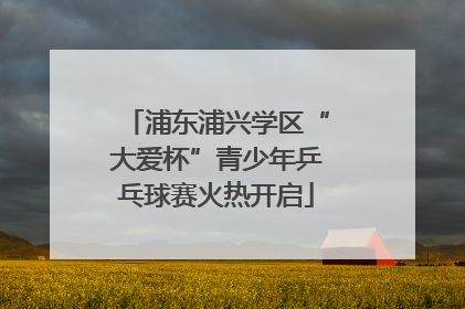 浦东浦兴学区“大爱杯”青少年乒乓球赛火热开启