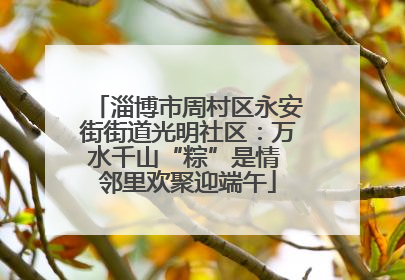 淄博市周村区永安街街道光明社区：万水千山“粽”是情 邻里欢聚迎端午