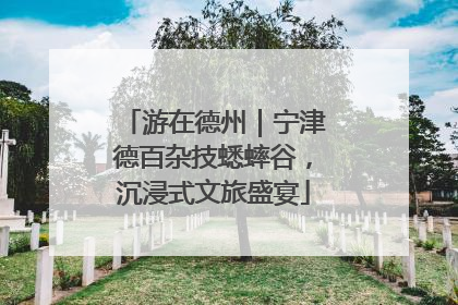 游在德州｜宁津德百杂技蟋蟀谷，沉浸式文旅盛宴